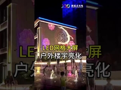 Indoor P100 Flexible LED Mesh Screen Display LED Dot Light Transparan